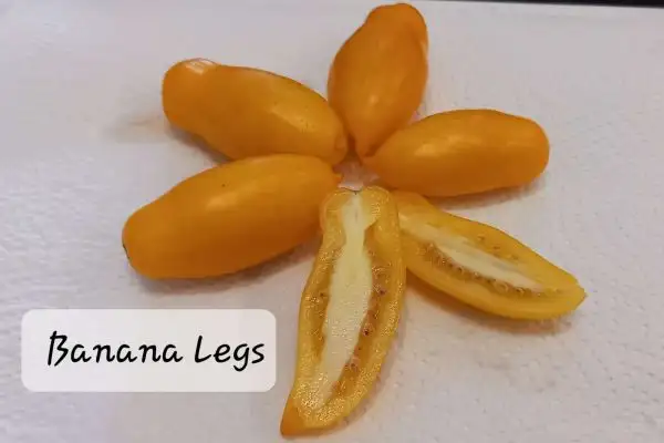 Tomaten: Banana Legs