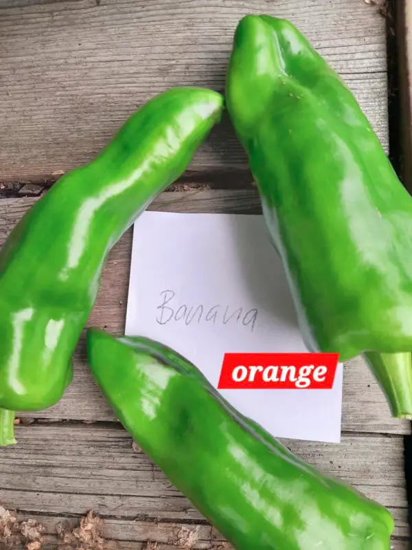 Chili / Paprika: Banana orange