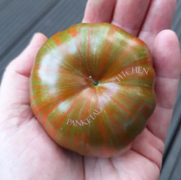 Tomaten: Banded Amazon