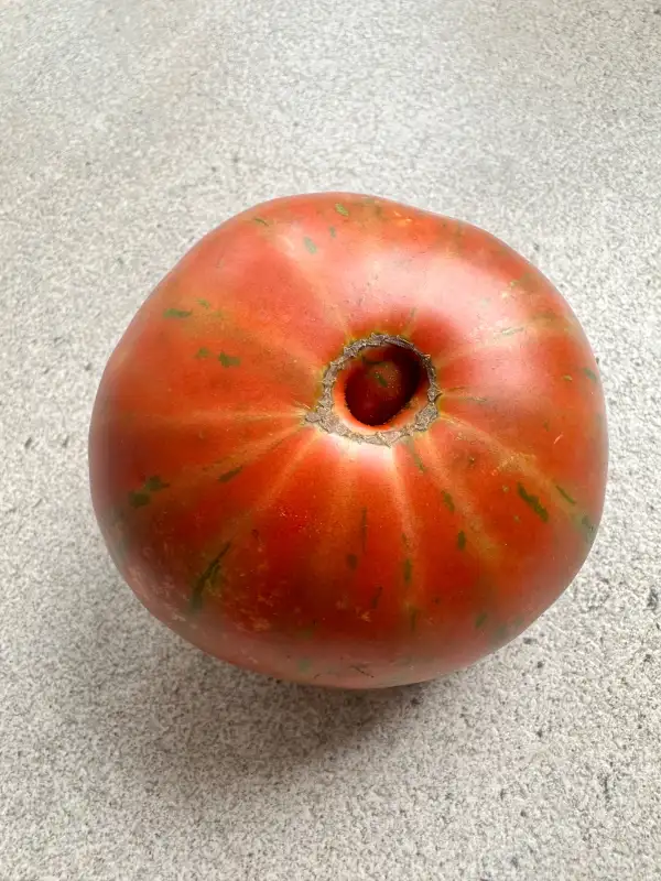 Tomaten: Banded Amazon