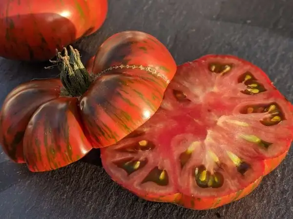 Tomaten: Banded Amazon