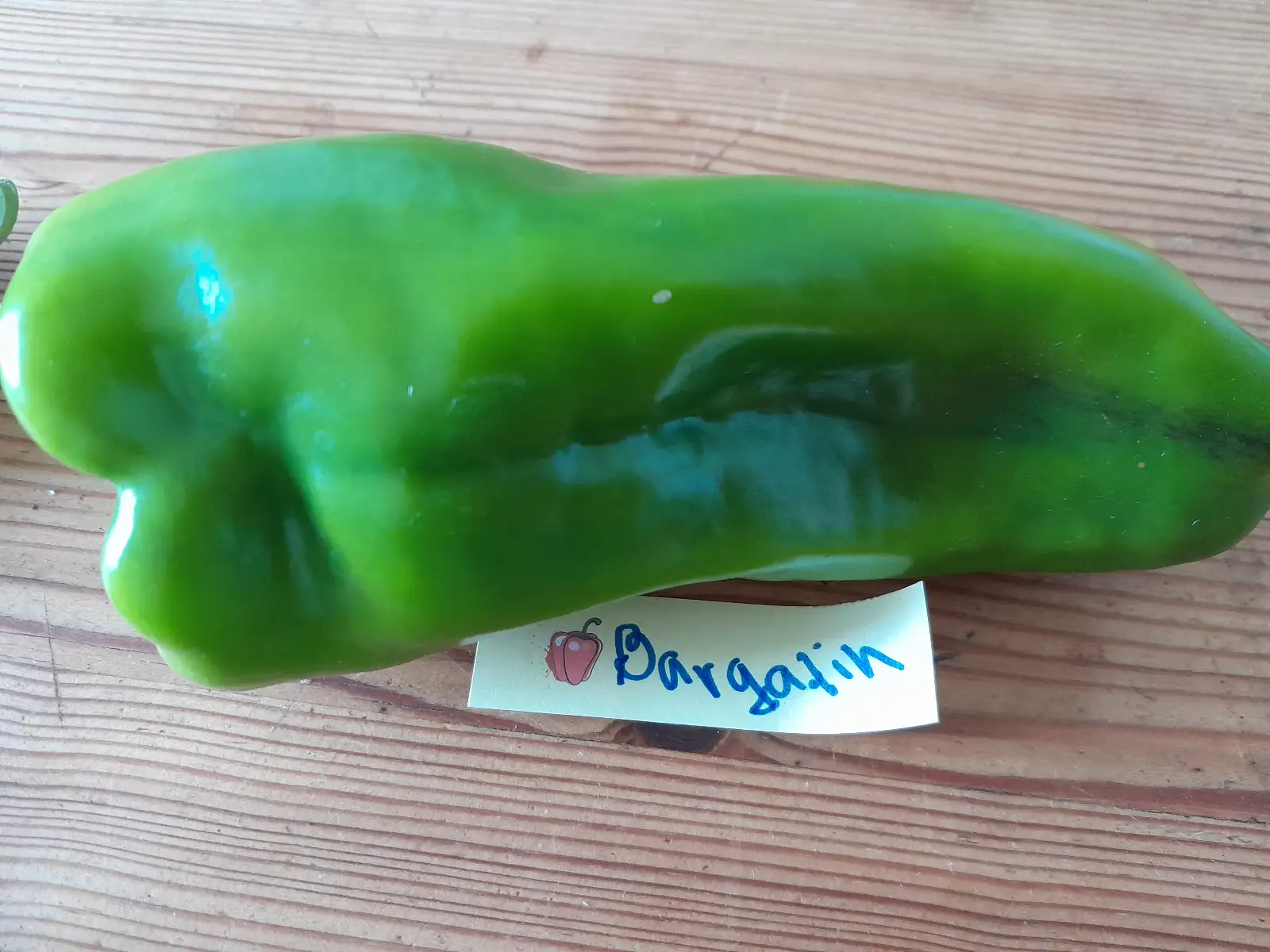 Chili / Paprika: Barguzin, Paprika süß