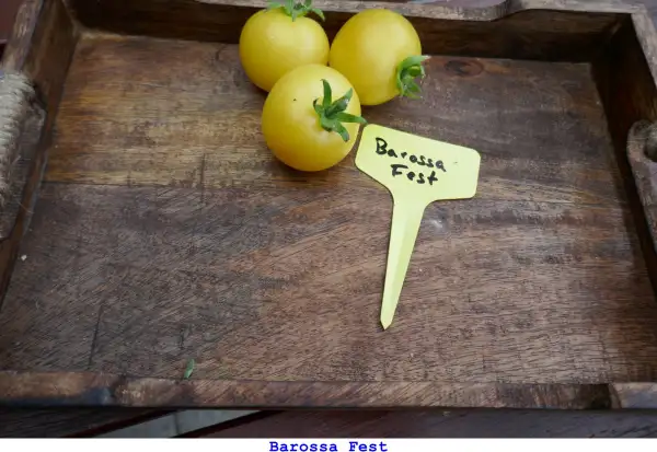 Tomaten: Barossa Fest