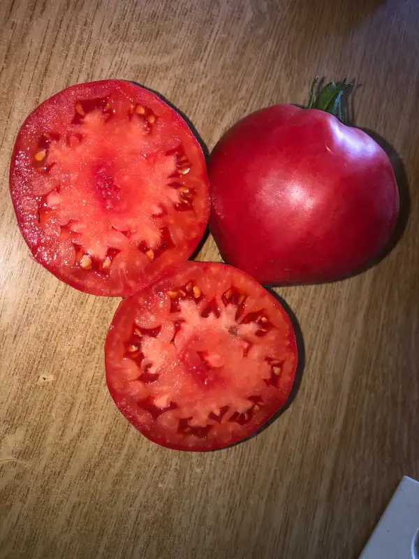 Tomaten: Bartsky