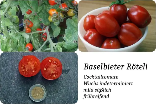 Tomaten: Baselbieter Röteli