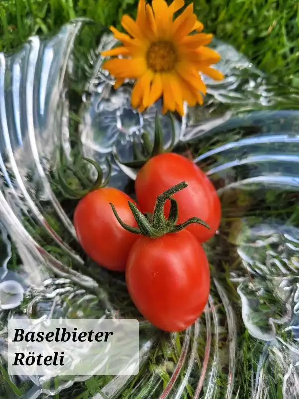 Tomaten: Baselbieter Röteli