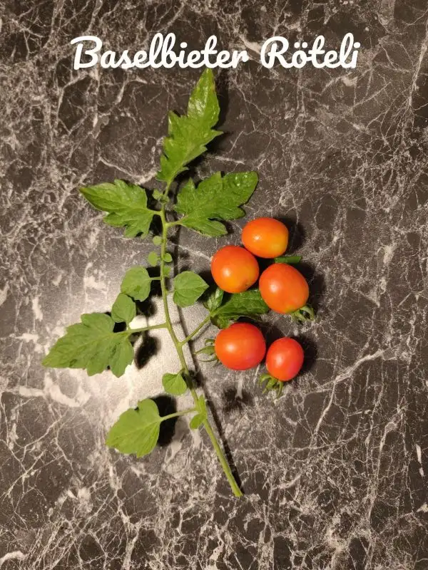 Tomaten: Baselbiter Röteli