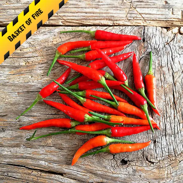 Chili: Basket of Fire