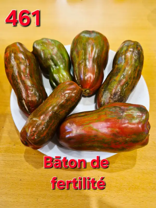 Tomaten: Baton de fertilite