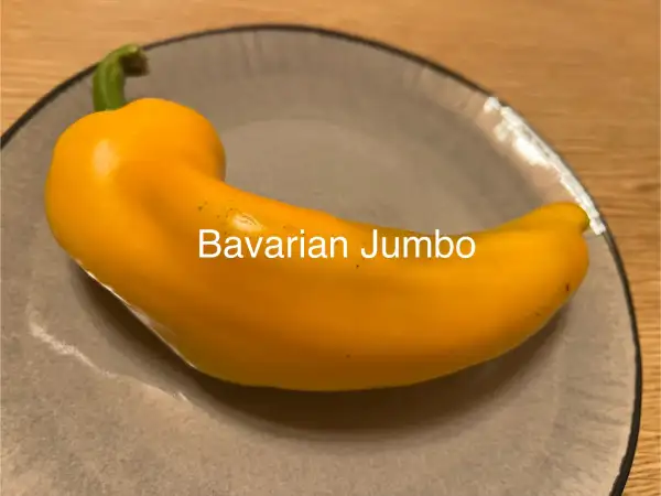 Chili / Paprika: Bavarian Jumbo