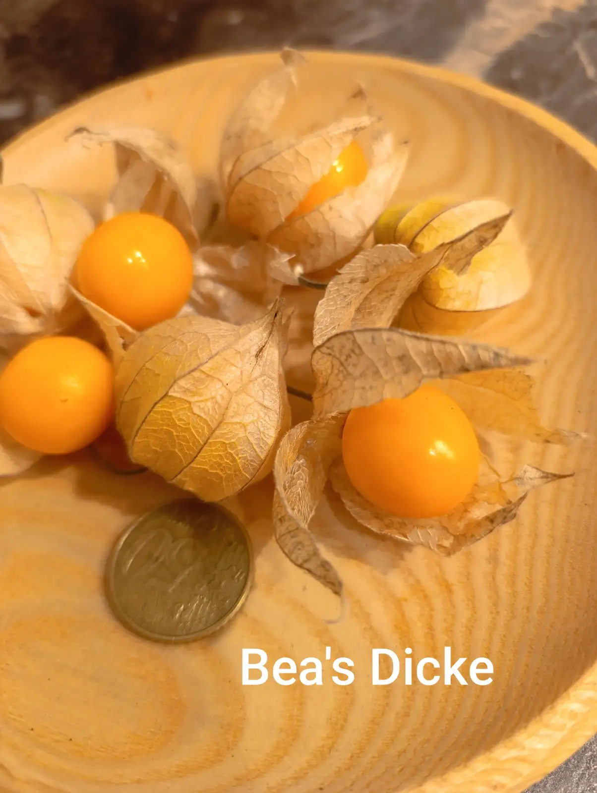 Physalis: Bea´s Dicke