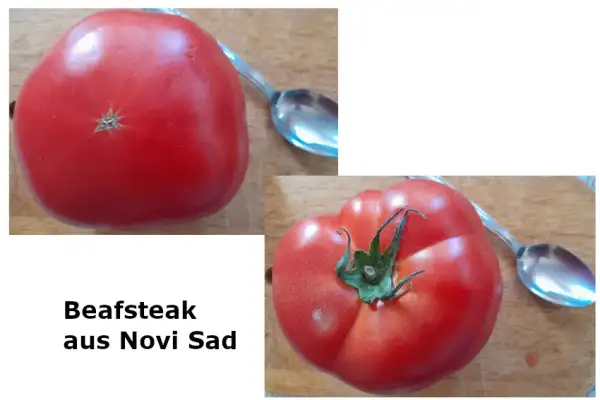 Tomaten: Beafsteak aus Novi Sad