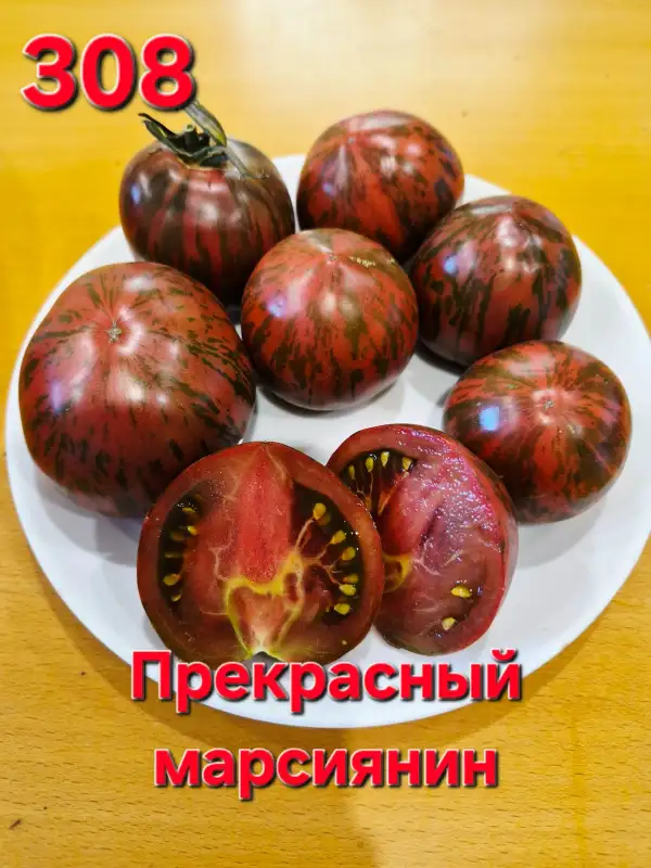 Tomaten: Beautifull martianin