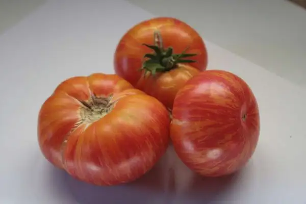 Tomaten: Beauty King