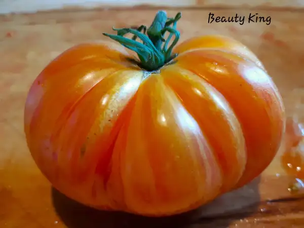 Tomaten: Beauty King