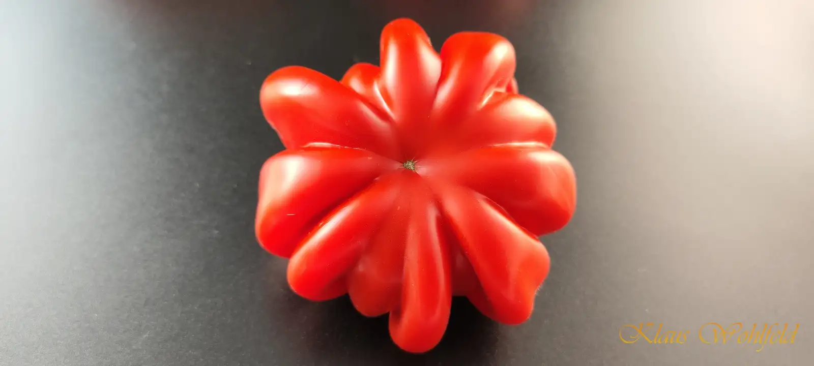 Tomaten: Beauty Lothringa