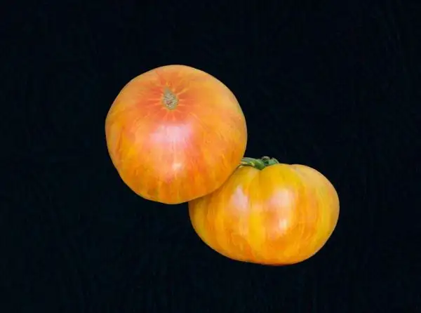 Tomaten: Beauty Queen