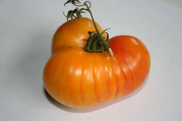 Tomaten: Beauty Queen