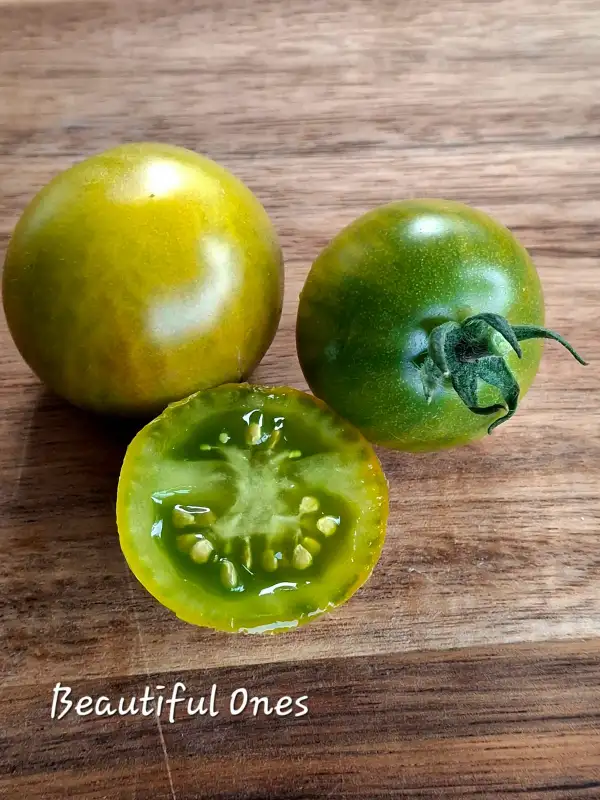 Tomaten: Beautyful One (dwarf)