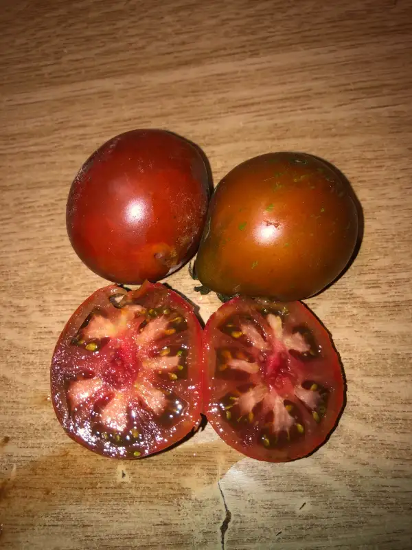 Tomaten: Beduin