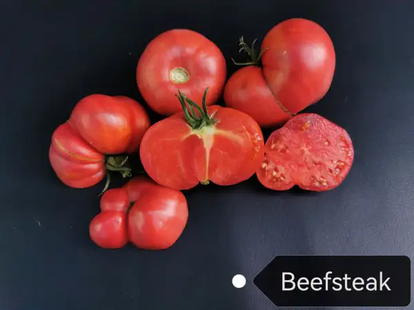 Tomaten: Beefsteak
