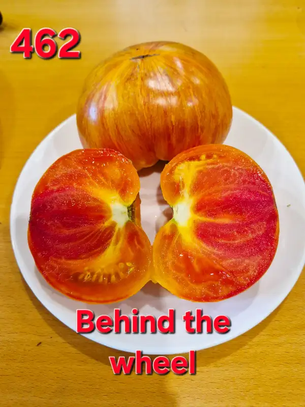 Tomaten: Behind the wheel