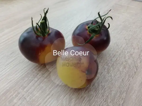 Tomaten: Belle Coeur