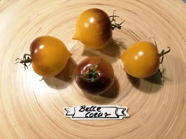 Tomaten: Belle Coeur