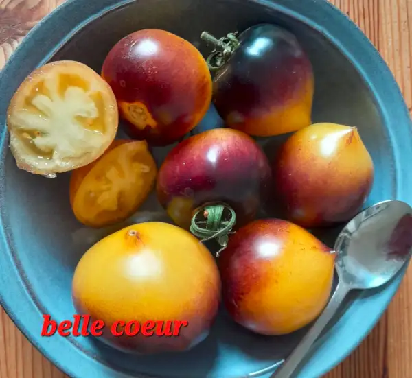 Tomaten: Belle Coeur
