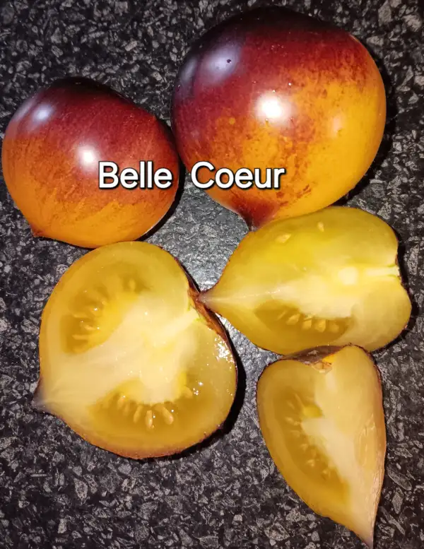 Tomaten: Belle Coeur