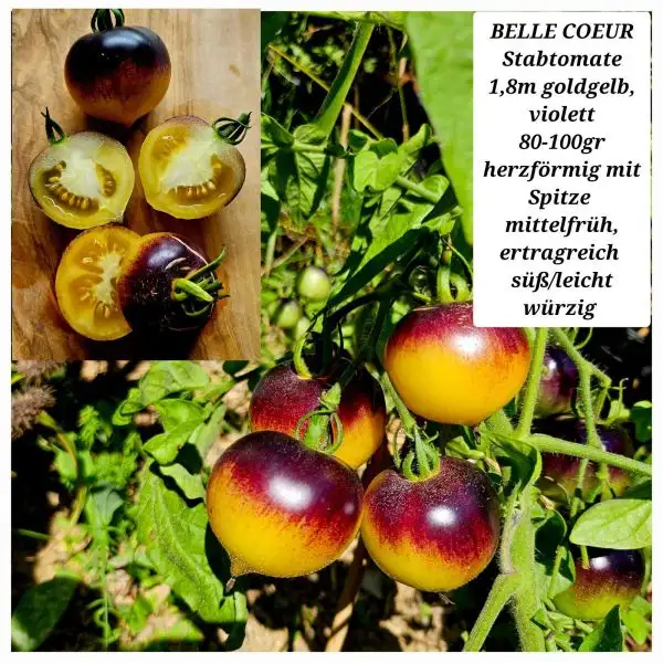 Tomaten: Belle Coeur