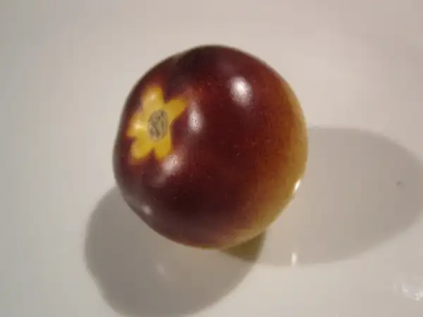 Tomaten: Belle Coeur