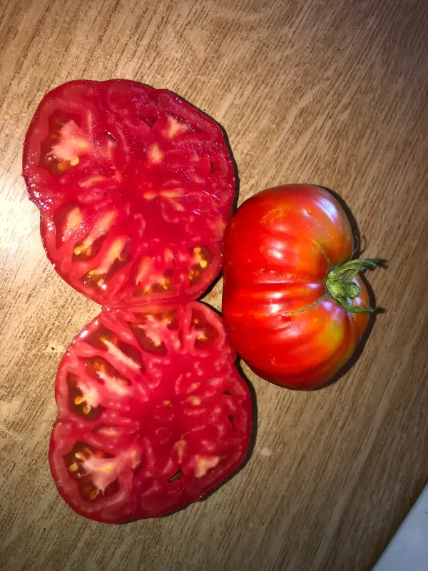 Tomaten: Belle du Poitou