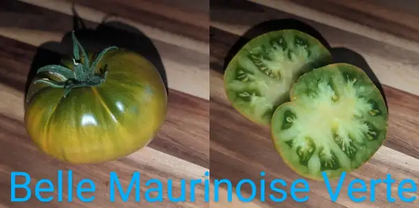 Tomaten: Belle Maurinoise Verte