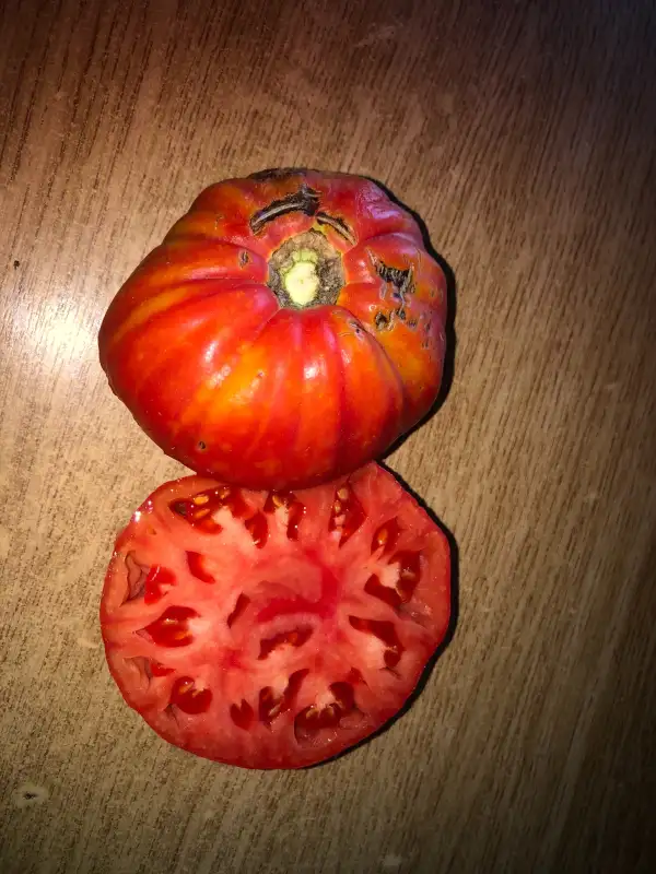 Tomaten: Belmonte Vero Calabro