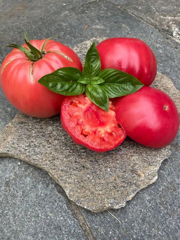 Tomaten: Belmonte Vero Calabro