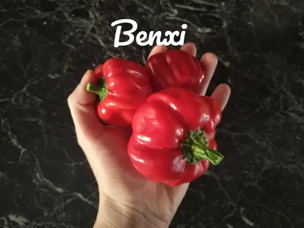 Chili / Paprika: Benxi (2023) Paprika