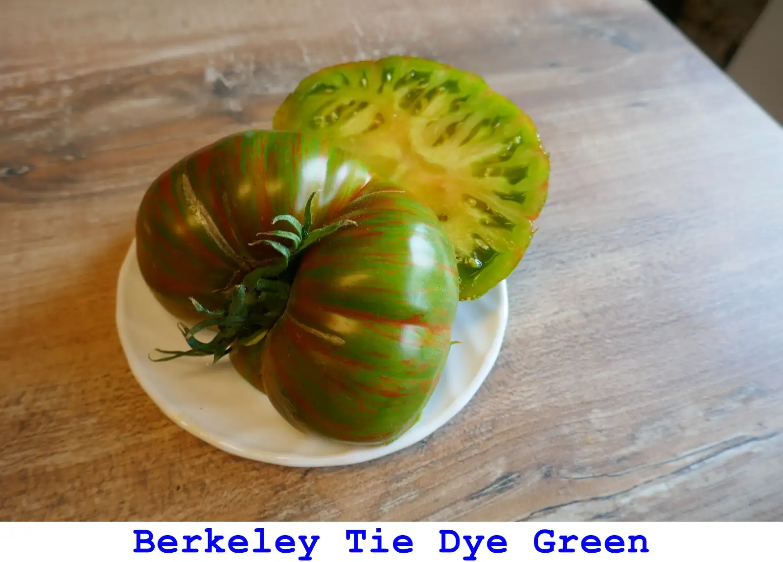 Tomaten: Berkeley Tie Dye Green