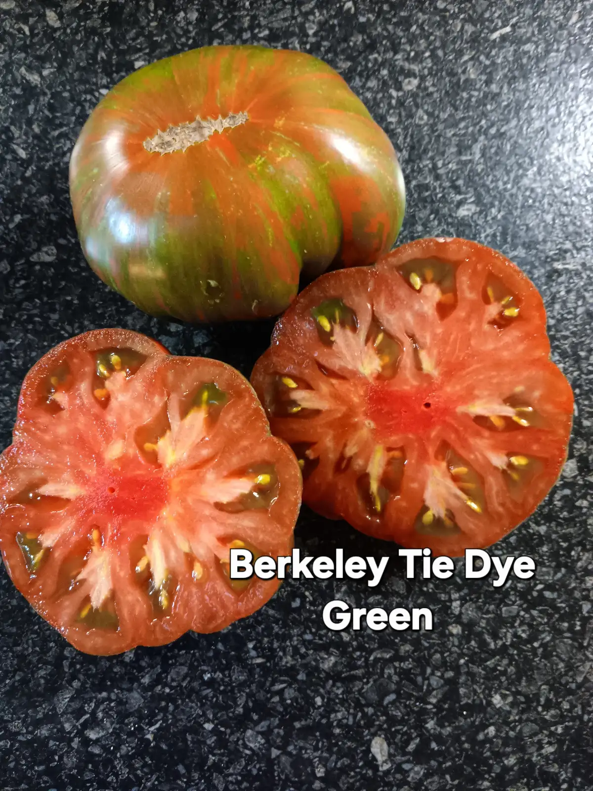 Tomaten: Berkeley Tie Dye Green