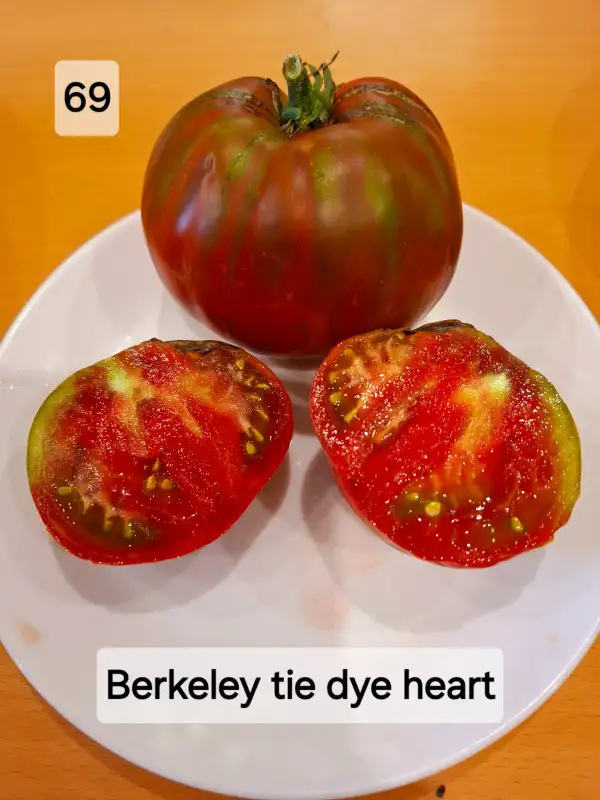 Tomaten: Berkeley Tie Dye Heart