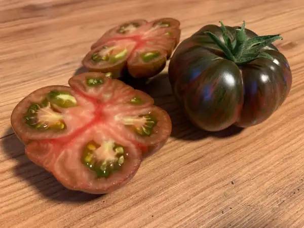 Tomaten: Berkeley Tie Dye Pink