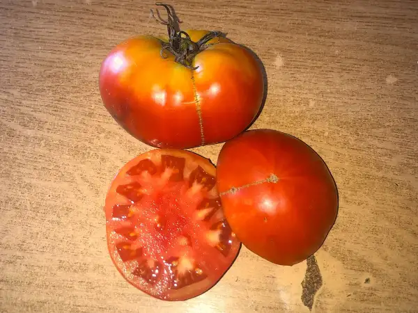 Tomaten: Bernadette de Rivarennes