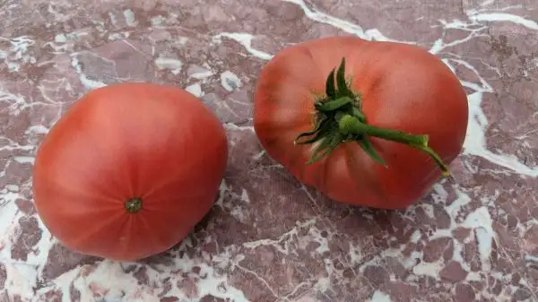 Tomaten: Bessarabia