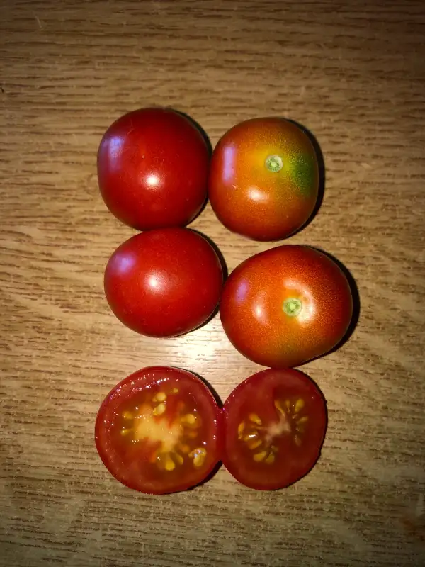 Tomaten: Besser