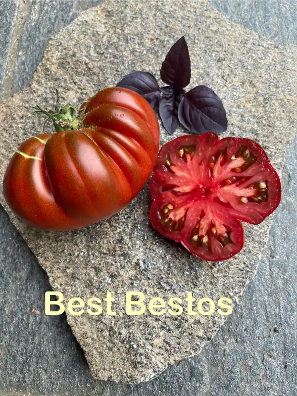 Tomaten: Best Bestos