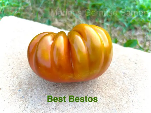 Tomaten: Best Bestos