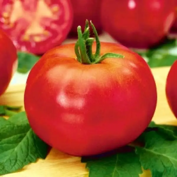 Tomaten: Betalux