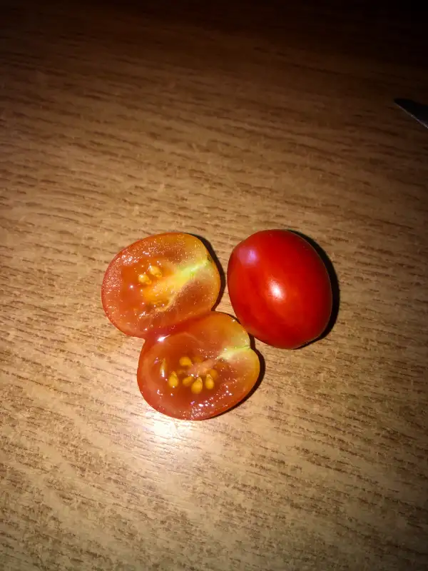 Tomaten: Bi Dài