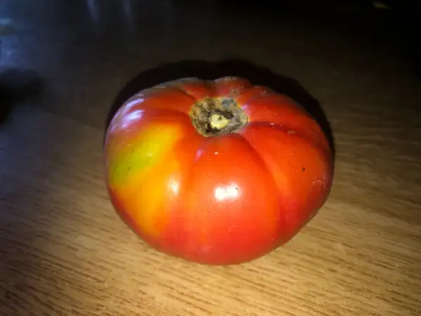 Tomaten: Big A Sandy