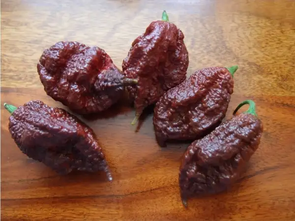 Chili / Paprika: Big Black Mama